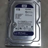 Hard Disk WD Purple 1TB SATA per VIDEOSORVEGLIANZA