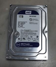 Hard Disk WD Purple 1TB SATA per VIDEOSORVEGLIANZA
