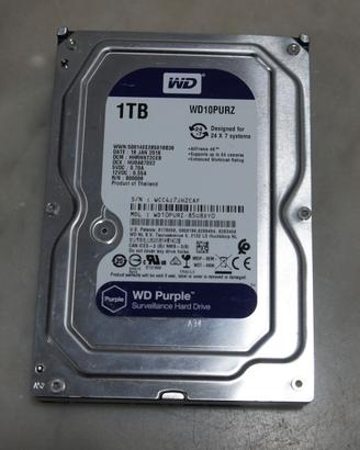 Hard Disk WD Purple 1TB SATA per VIDEOSORVEGLIANZA