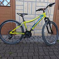 Bicicletta MTB Skilled Fast 26