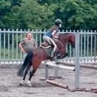 Pony per tutti + finimenti