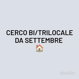 Bi/trilocale da settembre
