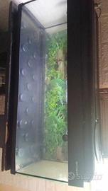 Acquario 