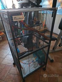 gabbia per uccelli pappagalli