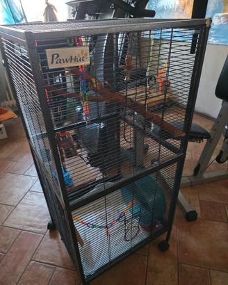 gabbia per uccelli pappagalli