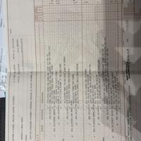 Monta PASTORE TEDESCO