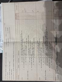 Monta PASTORE TEDESCO