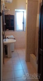 FIUMICINO MONOLOCALE ARREDATO 40Mq