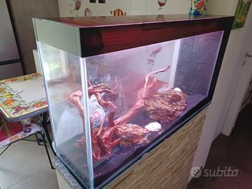 Acquario