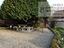 Immagine 13
