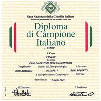 Disponibile per monta