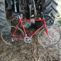 Olmo Grand Prix 58x56