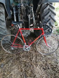 Olmo Grand Prix 58x56