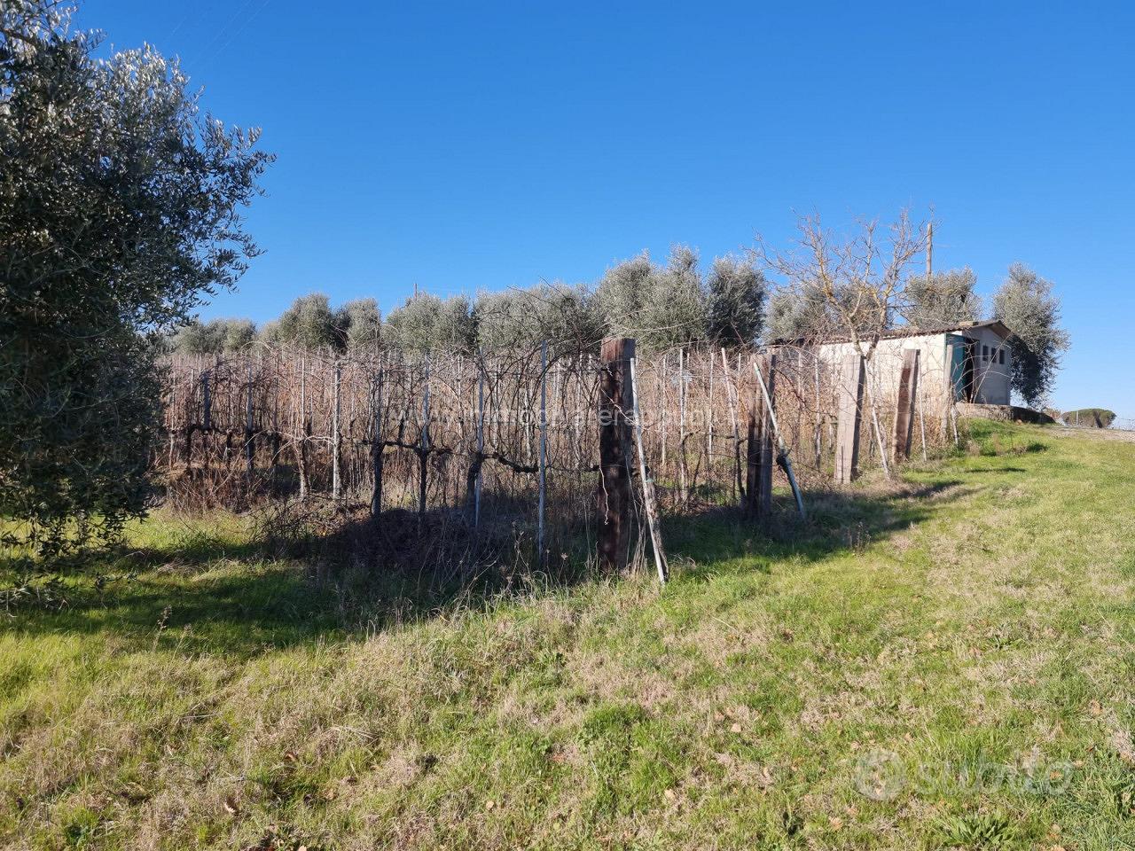 TE69 - Montepulciano terreno dove si può - Vista 2