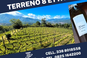 Rustico con terreno a Contrada
