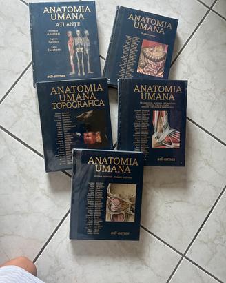 Anatomia Umana Edi-Ermes nuovi