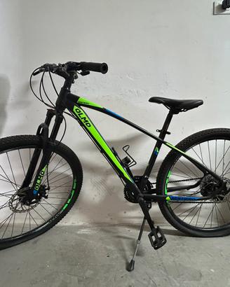 Mtb Olmo