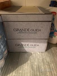 Grande guida di medicina generale