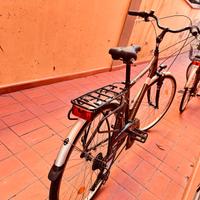 Bicicletta da città