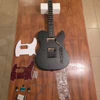 Harley Benton TE-20HH w/bag