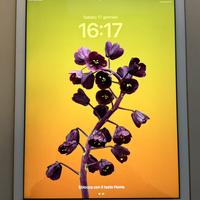 iPad quinta generazione (2017) Wi-Fi + Cellular