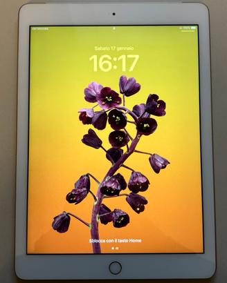 iPad quinta generazione (2017) Wi-Fi + Cellular