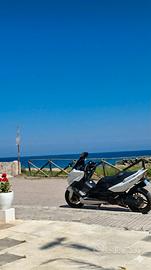 Tmax 500