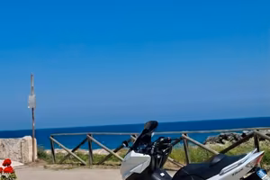 Tmax 500