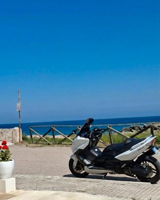 Tmax 500