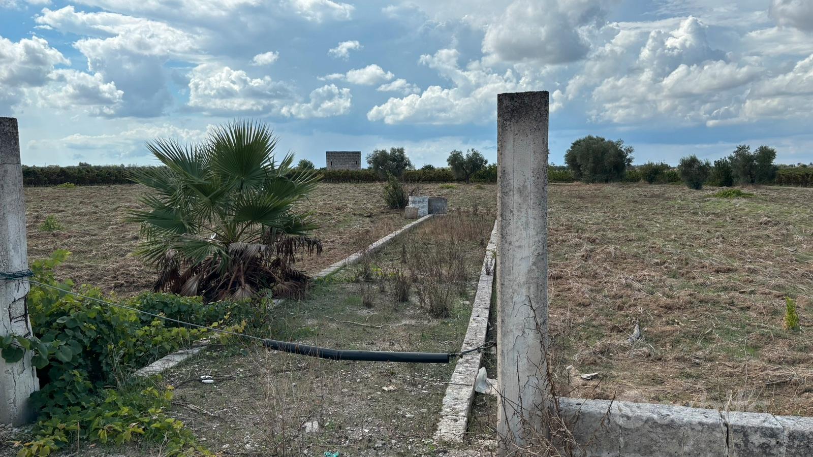 Terreno Agricolo - Vista 2