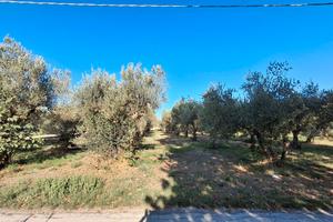 Terreno edificabile Artigianale - Residenziale