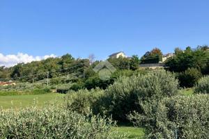 TER. AGRICOLO A SAN CARLO CANAVESE