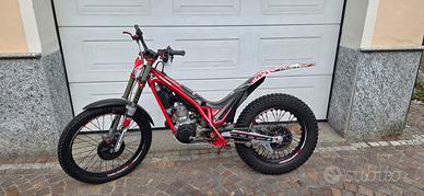 trial gas gas 2017