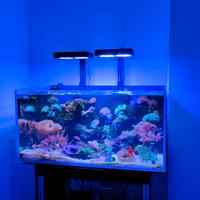 plafoniera 100 Watts nicrew