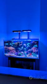 plafoniera 100 Watts nicrew