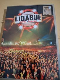 Dvd Ligabue Campovolo