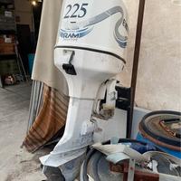 Johnson Evinrude 225 da vedere