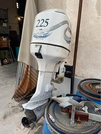Johnson Evinrude 225 da vedere