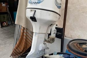 Johnson Evinrude 225 da vedere