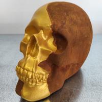 Teschio colorazione ruggine e oro nuovo 