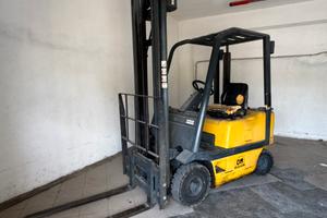 Muletto Carrello Elevatore OM D15