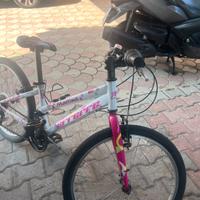Bici bambina mountainbike 24