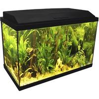 Acquario 60 litri