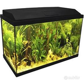 Acquario 60 litri