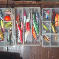 artificiali da pesca a spinning e scatole in plexi
