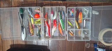 artificiali da pesca a spinning e scatole in plexi