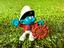 Immagine 1