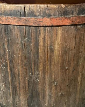 Tino per vinificazione