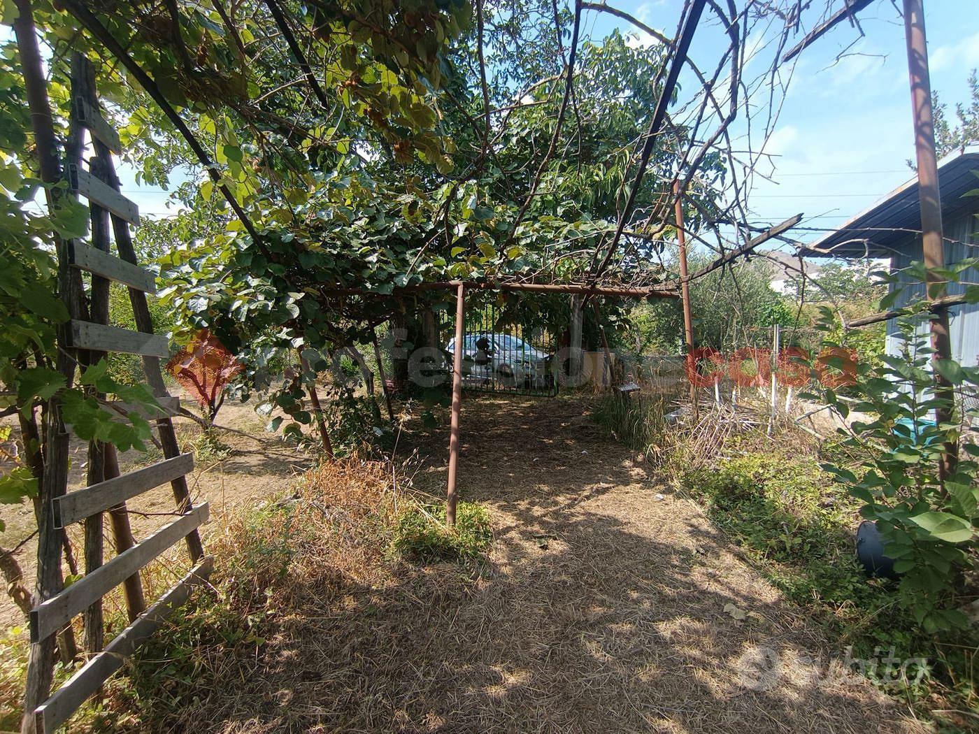 Terreno Agricolo Castel San Giorgio - Vista 3