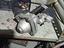 Immagine 1